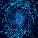 IT Service Professionals